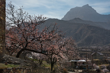 Similar image 21827048