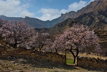 Similar image 21827049