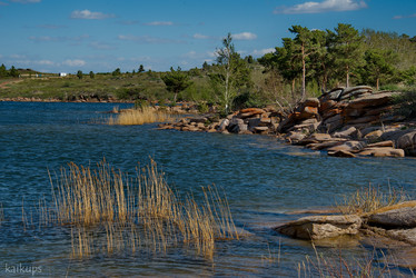 Similar image 21823502