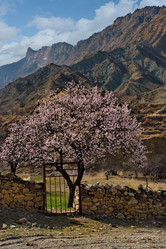 Similar image 21827050