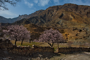 Similar image 21827052