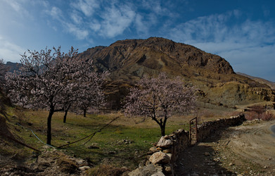 Similar image 21827054