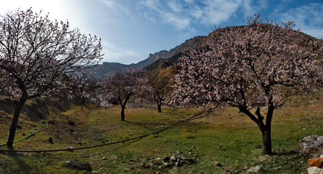 Similar image 21827057