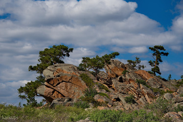 Similar image 21823511