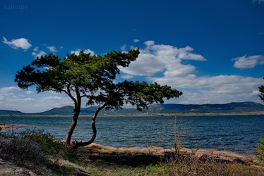 Similar image 21823517