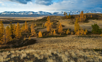 Similar image 21823552