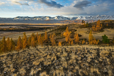 Similar image 21823557