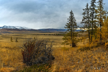 Similar image 21823558