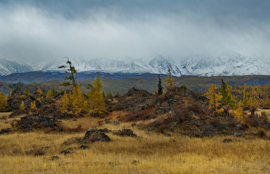 Similar image 21823559