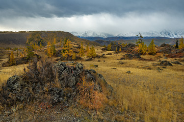 Similar image 21823560