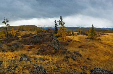 Similar image 21823561