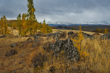 Similar image 21823565