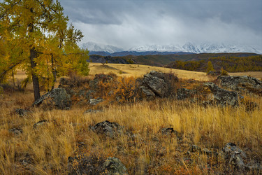 Similar image 21823566