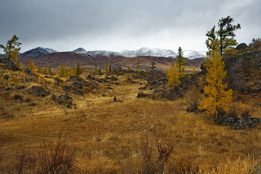 Similar image 21823567