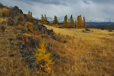 Similar image 21823569