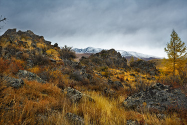 Similar image 21823574