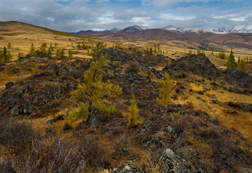 Similar image 21823577