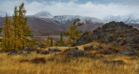 Similar image 21823582