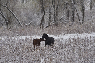 Similar image 21827061