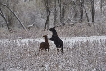 Similar image 21827063