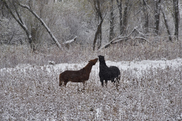 Similar image 21827064