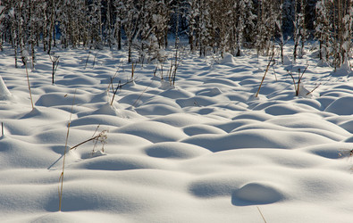 Similar image 21826331