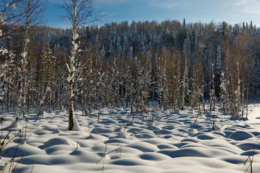 Similar image 21826332