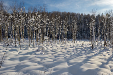 Similar image 21826333