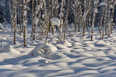 Similar image 21826334