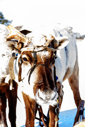 Similar image 21818228