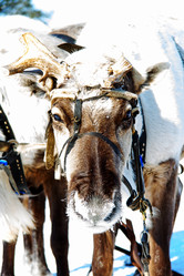 Similar image 21818229