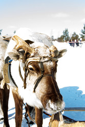 Similar image 21818230