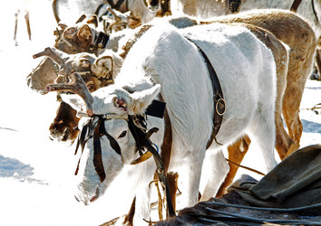 Similar image 21818231