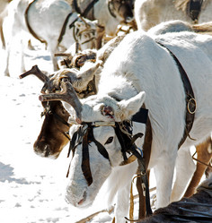 Similar image 21818232