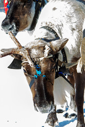 Similar image 21818233