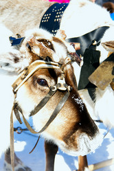 Similar image 21818234