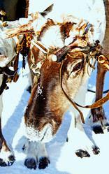 Similar image 21818235