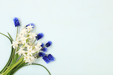 Similar image 21818239