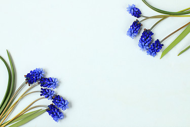 Similar image 21818244