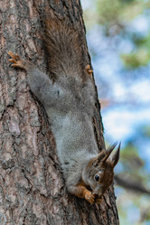 Similar image 21820054