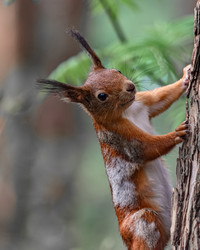 Similar image 21820055