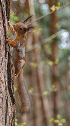 Similar image 21820056