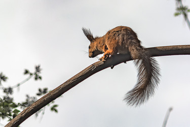 Similar image 21820057