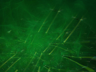 Similar image 21822275