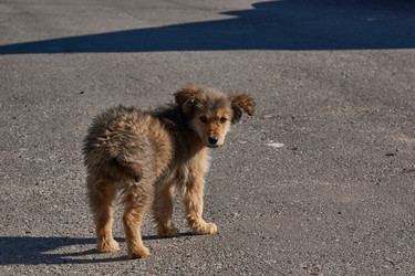 Similar image 21818250