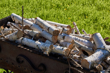 Similar image 21818251