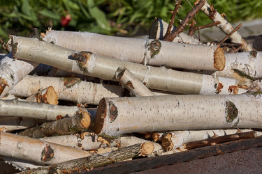 Similar image 21818252