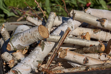 Similar image 21818253