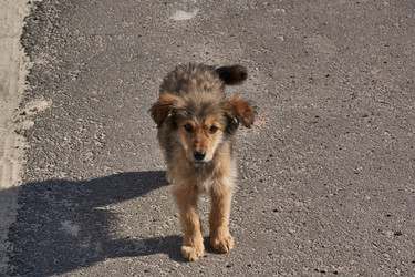 Similar image 21818254