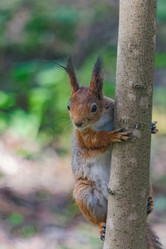 Similar image 21820062